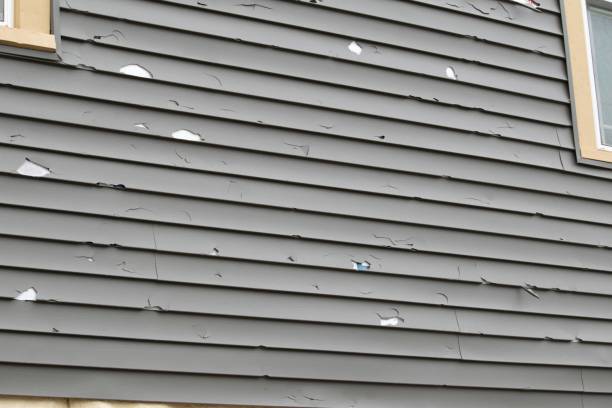 Best Custom Trim and Detailing for Siding  in Cross Plains, WI