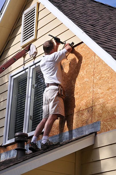 Best Brick Veneer Siding  in Cross Plains, WI